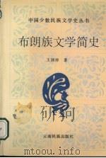 布朗族文学简史   1995  PDF电子版封面  7536711239  王国祥著 