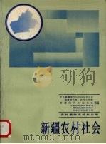 新疆农村社会  下   1988  PDF电子版封面  7504803420  中共新疆维吾尔自治区委员会政策研究室等编 