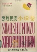 1984中国小说年鉴  少数民族小说卷（1985 PDF版）