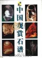 中国观赏石谱（1999 PDF版）
