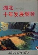 湖北十年发展纲领  1991-2000   1992  PDF电子版封面  7216009290  湖北省计划委员会编 