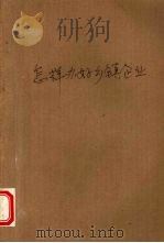 怎样办好乡镇企业   1985  PDF电子版封面  4236·018  中央人民广播电台农村部编 