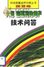 大葱  韭菜高效增产技术问答   1999  PDF电子版封面  7533124278  丁习武，孙丕文，袁瑞农等编著 