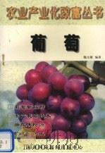 农业产业化致富丛书  葡萄（1998 PDF版）