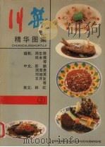川菜精华图集  2（1994 PDF版）