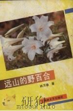 远山的野百合   1990  PDF电子版封面  7805342849  林万春著 