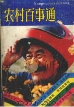 农村百事通  1989年合订本（1990 PDF版）