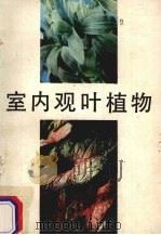 室内观叶植物   1989  PDF电子版封面  7534506344  吴民强等编著 
