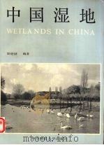 中国湿地（1990 PDF版）