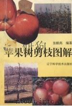 苹果树剪枝图解  修订本（1995 PDF版）
