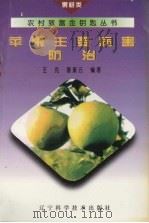 苹果主要病害防治   1995  PDF电子版封面  7538121951  王克，曹素云编著 