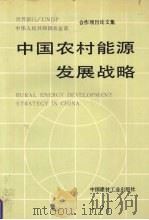 中国农村能源发展战略   1991  PDF电子版封面  7800900606  本社编 