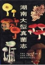 湖南大型真菌志（1993 PDF版）