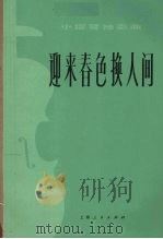 迎来春色换人间  小提琴独奏曲   1977  PDF电子版封面    陈钢等编曲 