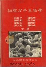 细胞分子生物学   1984.03  PDF电子版封面    林良平，周成功，陈益明等著 