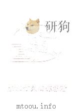 陈埭丁氏回族宗谱   1996  PDF电子版封面    庄景辉编校 