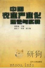 中国农业产业化理论与实践   1999  PDF电子版封面  7205043670  胡鞍钢主编 