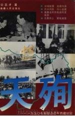 天殉  1950年英雄连进军西藏纪实   1993  PDF电子版封面  7228028643  公丕才著 