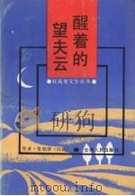醒着的望夫云（1991 PDF版）