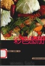 蔬菜病虫害防治彩色图册   1994  PDF电子版封面  753900844X  李明远等著 