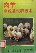肉羊高效益饲养技术   1995  PDF电子版封面  7508200527  冯维祺等编著 