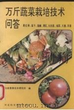 万斤蔬菜栽培技术问答   1993  PDF电子版封面  753750962X  河北省蔬菜花卉研究所编 