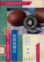 猕猴桃精品  栽培、贮藏、保鲜与营销（1996 PDF版）