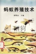 蚂蚁养殖技术   1999  PDF电子版封面  710906039X  刘明山主编 
