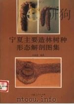 宁夏主要造林树种形态解剖图集（1989 PDF版）