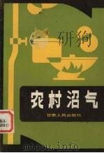 农村沼气   1985  PDF电子版封面    杨允文，张庆安编 