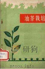 油茶栽培   1976  PDF电子版封面    石怀绶编 