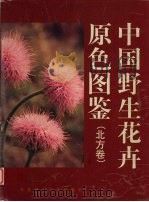 中国野生花卉原色图鉴  中英文本  北方卷（1999 PDF版）