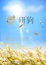 无机合成化学   1991  PDF电子版封面    徐如人主编 
