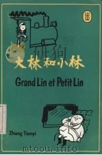 大林和小林   1983  PDF电子版封面    ZhangTianyi著 