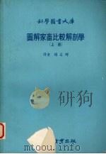 图解家畜比较解剖学  上   1978  PDF电子版封面    杨昌辉译 