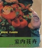 室内花卉   1980  PDF电子版封面    林清编著 