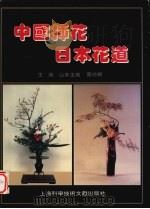 中国插花  日本花道  摄影集  中日文本（1995 PDF版）