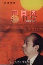 中国风   1999  PDF电子版封面  7805276188  王权利著 