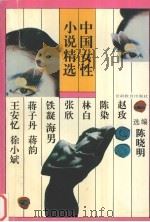 中国女性小说精选   1994  PDF电子版封面  7226013606  陈晓明选编 