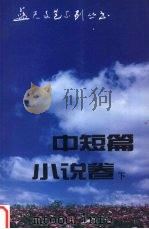 蓝天文艺系列丛书  中短篇小说卷  下  1985-1990   1993  PDF电子版封面  7800813568  空军政治部编 