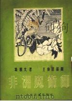 非洲魔术师   1954  PDF电子版封面    冯振文撰；王仲清绘图 