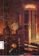 深圳之恋（1992 PDF版）