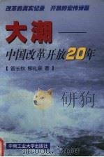 大潮-中国改革开放20年（1998 PDF版）