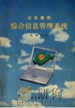 山东地税 综合信息管理系统   1998  PDF电子版封面  7805587485  吕凤强 