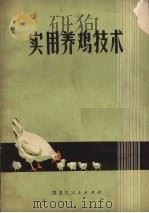 实用养鸡技术   1974  PDF电子版封面  16093·40  黑龙江省畜牧研究所编 