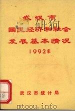 武汉市国民经济和社会发展基本情况  1992年   1991.05  PDF电子版封面    武汉市统计局 