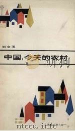 中国，今天的农村     PDF电子版封面    刘文玉著 