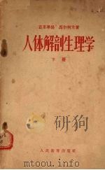 人体解剖生理学  下   1956  PDF电子版封面    （苏联）马尔柯夫著 