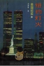 纽约灯火：美国纪实（1993 PDF版）