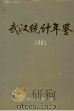 武汉统计年鉴  1991年编   1991  PDF电子版封面    武汉市统计局 